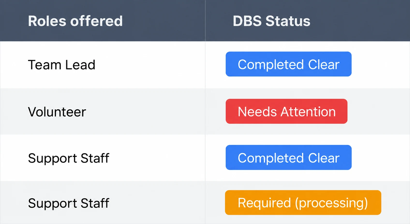 DBS table detail showing Team Lead and Support Staff as Completed Clear, Volunteer as Needs Attention, and another Support Staff check as Required (processing).